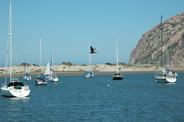 Morro Bay 008_1.jpg